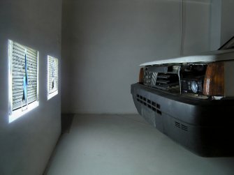 foto Die Schmetterlinge essen die Bananen 9