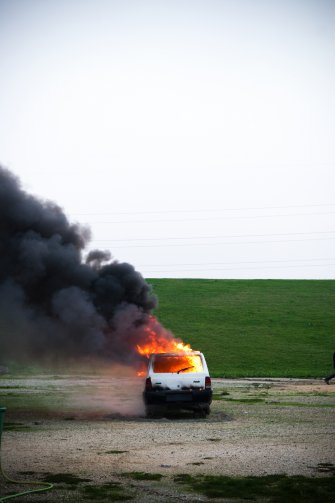 foto Die Schmetterlinge essen die Bananen 7