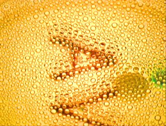 Net0 Annunciazione 4