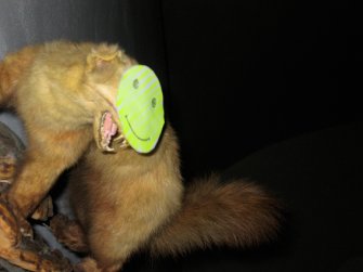 foto Aldo Lanzini/Dafne Boggeri Lima @ Raum 3