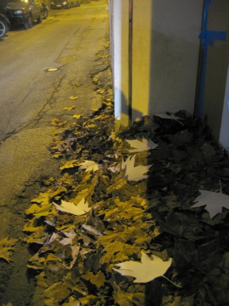 foto Aldo Lanzini/Dafne Boggeri Lima @ Raum 6