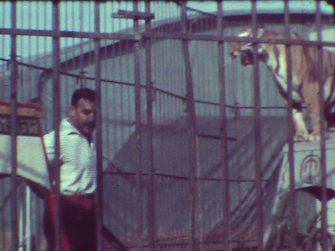 Flora 07 Circo Togni 2