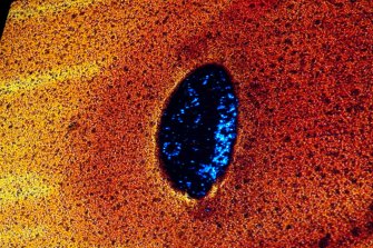 Net11 Camera Obscura 6