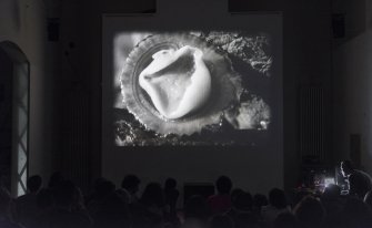 Foto Into the Home Movies 11