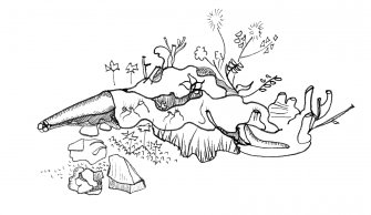 Immagine The Fellowship 02