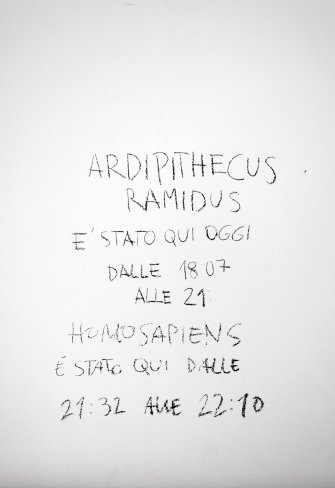 Foto La Nuova Alleanza 15