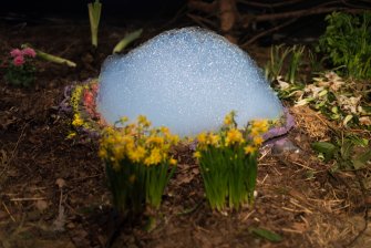 Foto Trond Reinholdtsen Ã˜ 11