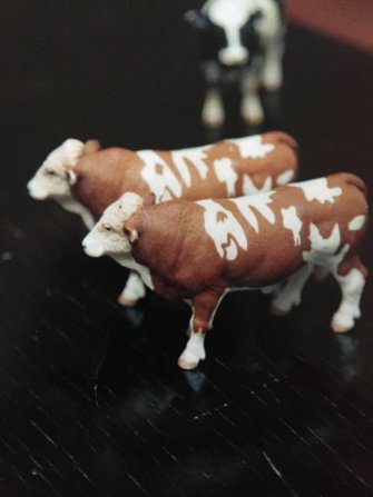 Foto Hysterical Furniture 04