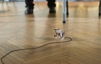 Foto The Cow Piece 08