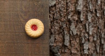 foto Lady with Gull 07