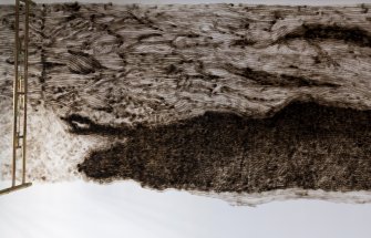 foto Squatter, regarder le ciel 03