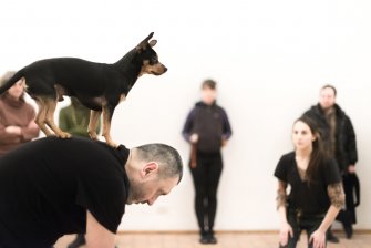 Foto The Situation DOGOD 02