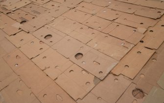 Foto The Situation DOGOD 04