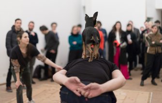 Foto The Situation DOGOD 06