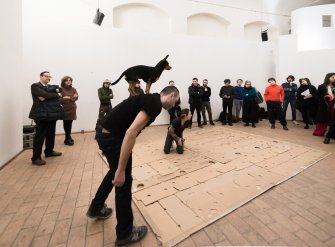 Foto The Situation DOGOD 07