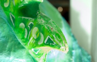 Foto Câ€™Ã¨ un inganno nel crepuscolo 09