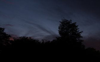 Foto 46 Marten Spangberg 06