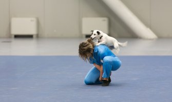 Foto ANUBI IS NOT A DOG 06