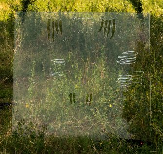 Foto Spooky actions 05