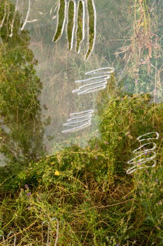 Foto Spooky actions 09