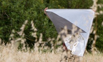 Foto Found in transition 10