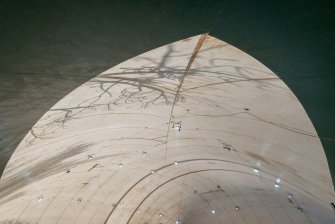 Peng on the Beach 02