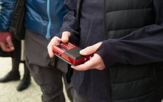 Peng on the Beach 04