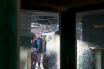 Peng on the Beach 10