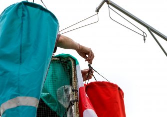 Foto COSINUS Ricambio stagionale 05