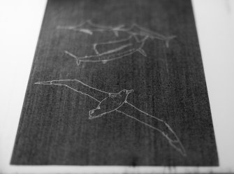 Foto Very cheap non-human animal imitations 05