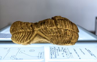 Foto Walking loaves 02