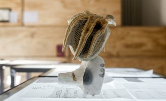 Foto Walking loaves 05