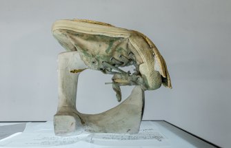 Foto Walking loaves 06