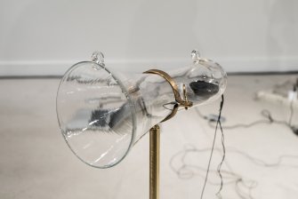 Foto Abyssal Creatures - Body0 Xilema 02