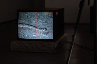 Foto Gritar, No Caer 03