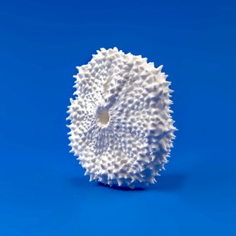 foto AMAZOOM - LP_03